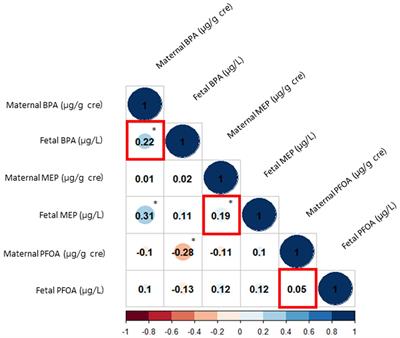 The associations between maternal and fetal exposure to endocrine-disrupting chemicals and asymmetric fetal growth restriction: a prospective cohort study